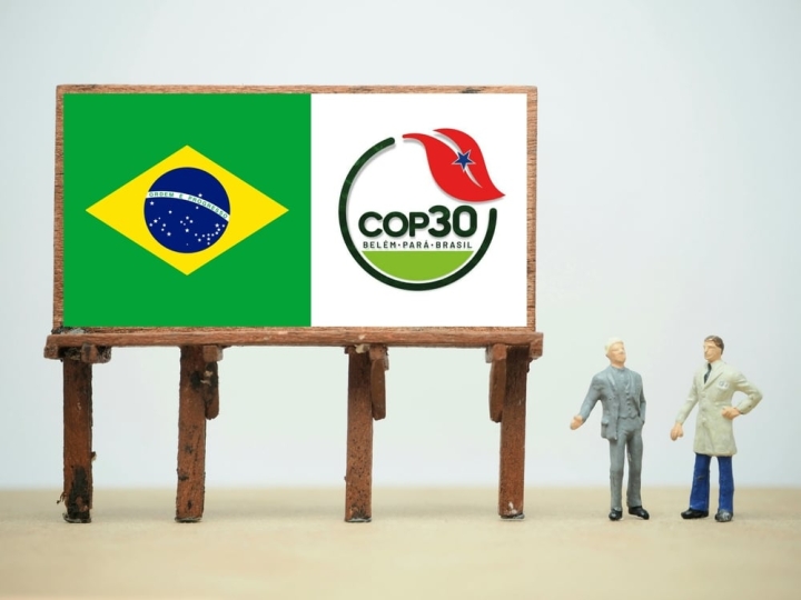 Глобальные углеродные рынки: Индонезия на COP30 и развитие декарбонизации