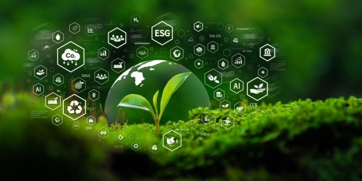 Рынок углеродных кредитов: цены растут, спрос на качественные активы бьет рекорды