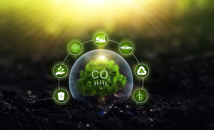 Verde AgriTech и UNDO Carbon формируют альянс для масштабирования удаления CO₂