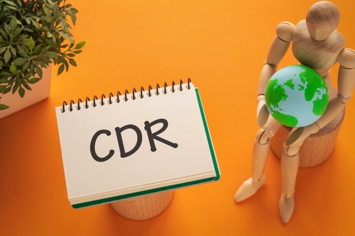 Индустрия CDR бьет тревогу: Стандарт SBTi может замедлить переход к «чистому нулю»