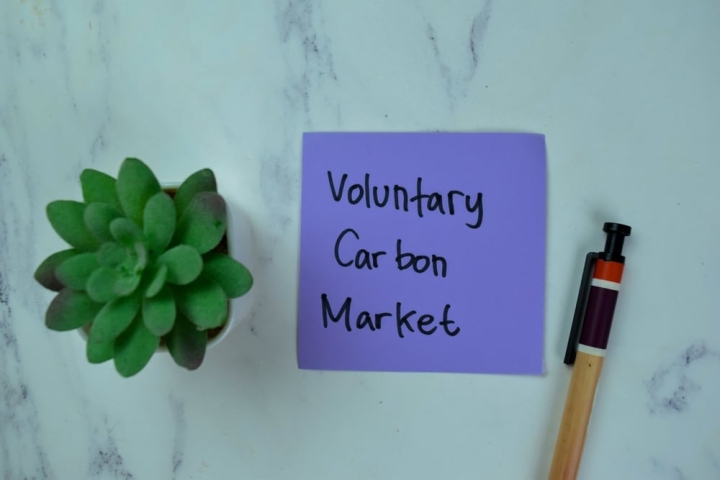 Трансформация рынка углеродных кредитов: фокус на качество и реальные сокращения